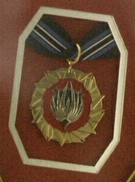 Colonial Medal of Valor
